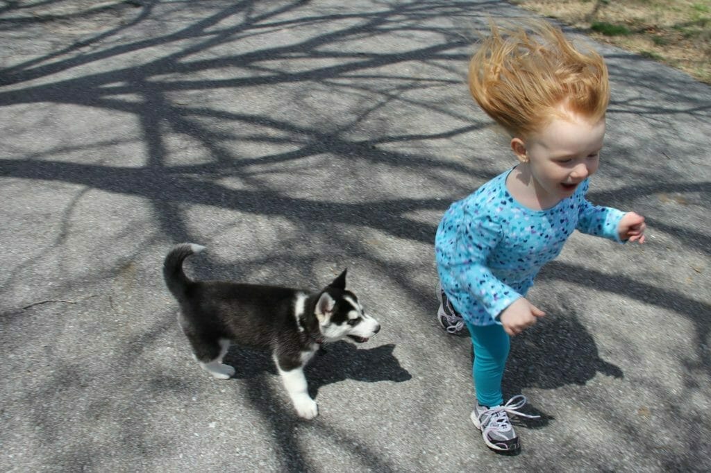 犬と子供